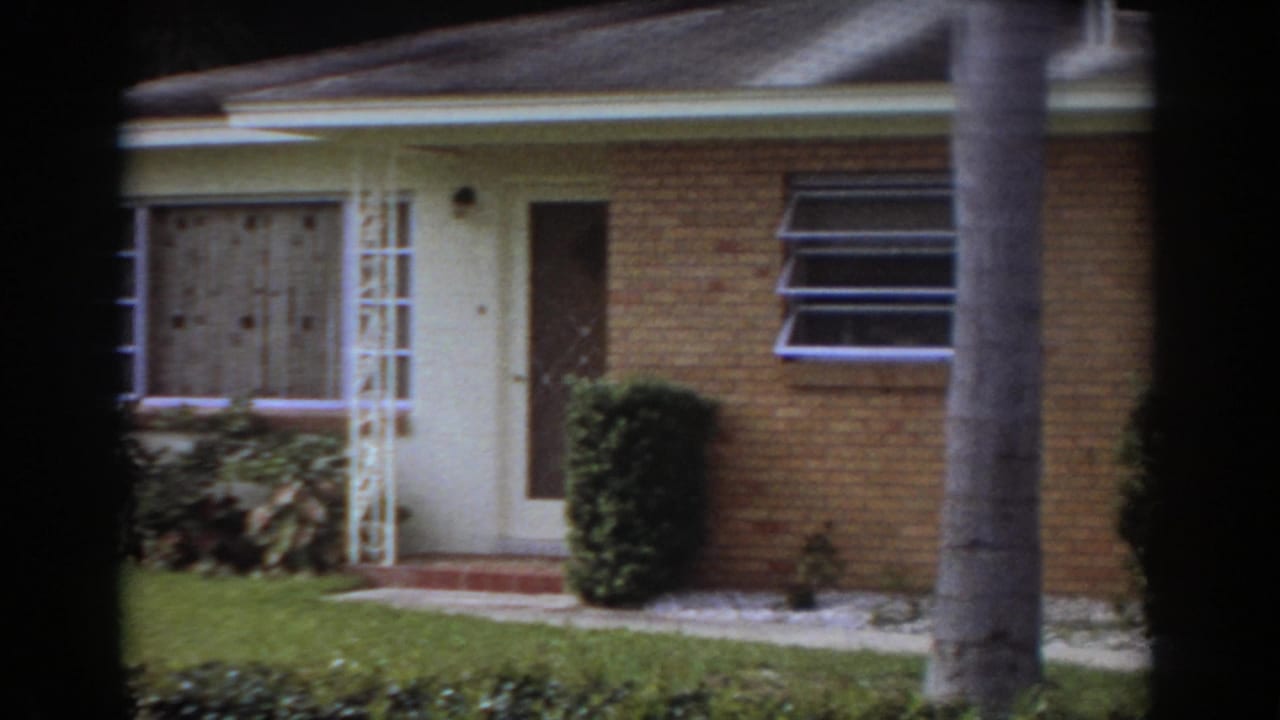 1967 Fort Lauderdale frame with the house entrance, brick wall, louvered side window, curtained front window, trimmed shrubs, and a palm trunk.