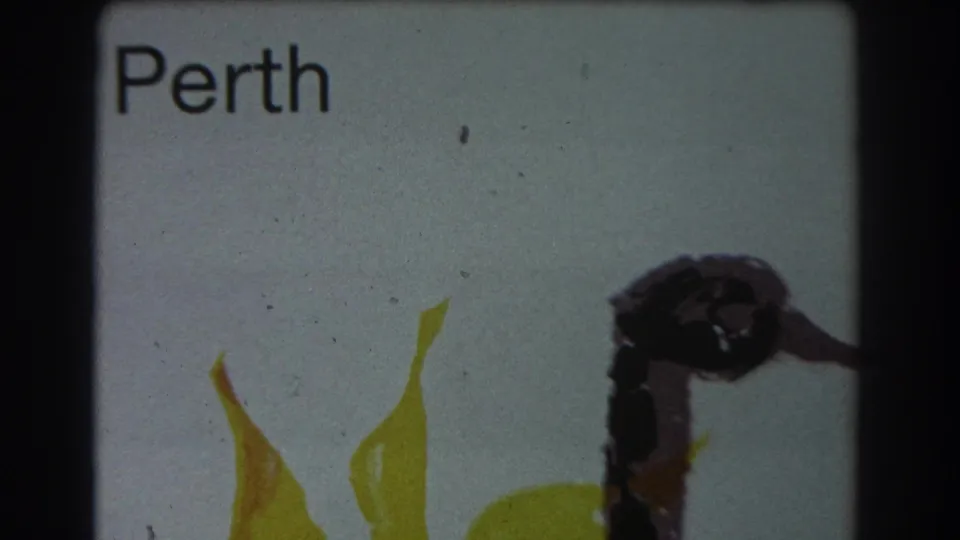 Cropped 1967 8mm frame of a Perth title card, with the location text, yellow plant shapes, and dark graphic artwork.