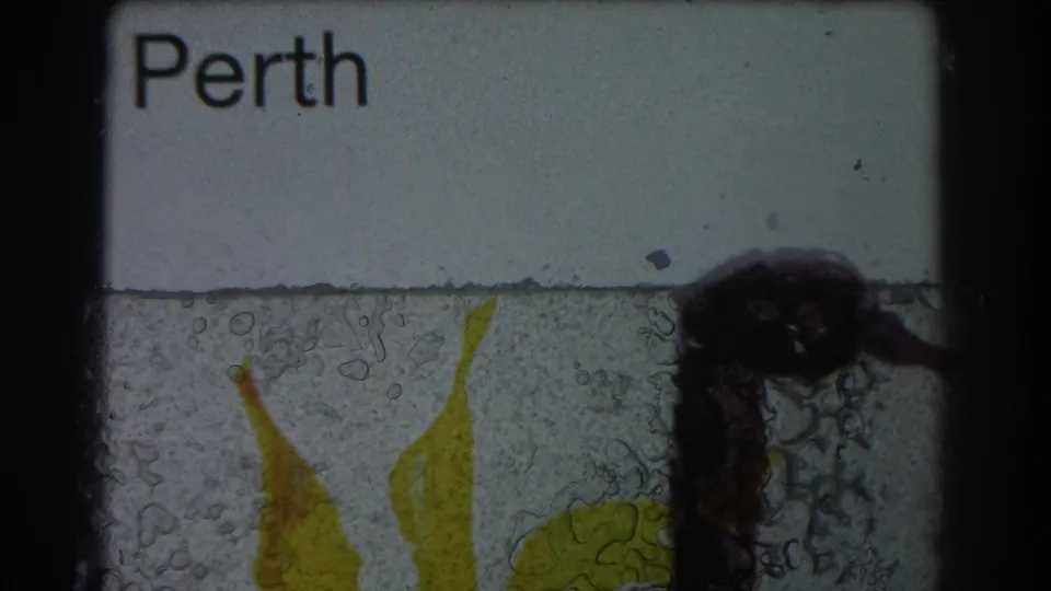 Perth-labeled frame with abstract yellow and black forms, partly marked by heavy 8mm film staining and surface artifacts.