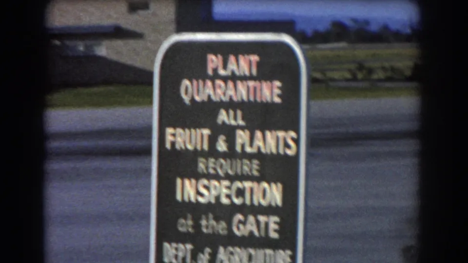 Close 1967 Perth airport view of a plant quarantine sign stating that fruit and plants require inspection at the gate.