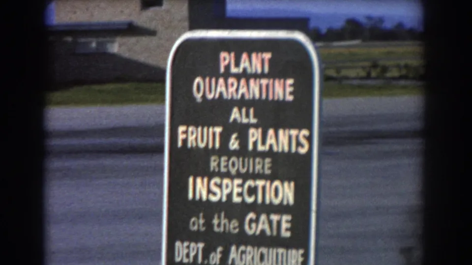 Close-up from the 1967 Perth airport footage showing the plant quarantine inspection sign at the tarmac edge.
