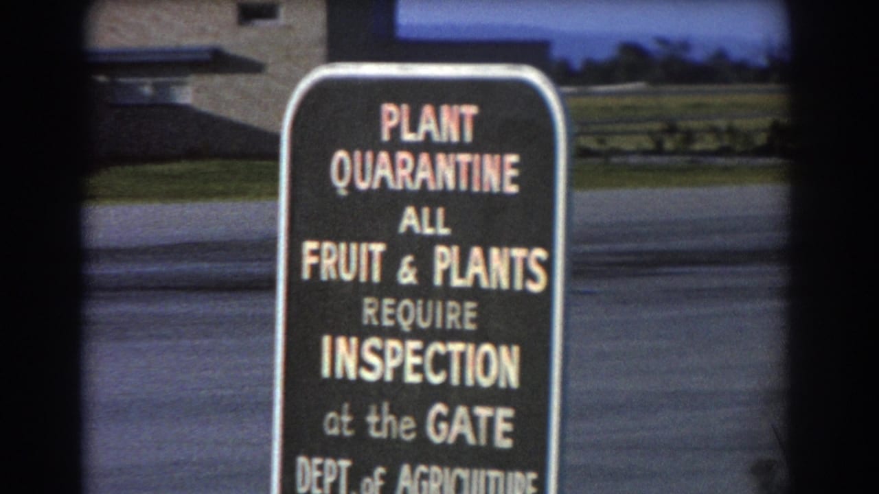 Black plant quarantine sign beside a paved area with cropped white lettering.