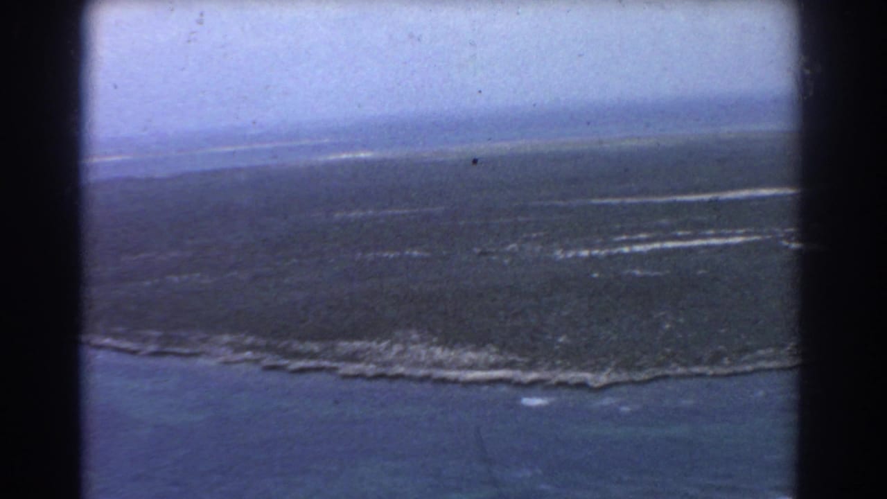 Aerial view of dark marshland bordered by turquoise water and pale surf lines.