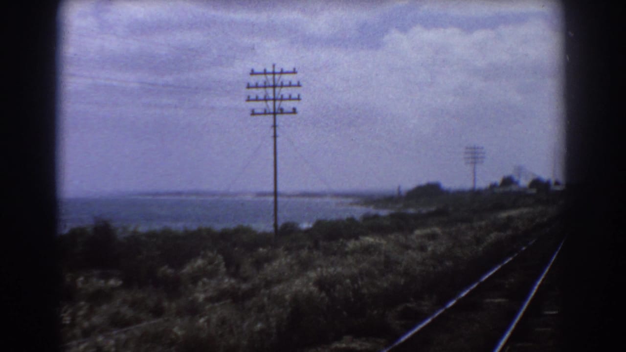Railway tracks beside coastal water with utility poles and low vegetation.
