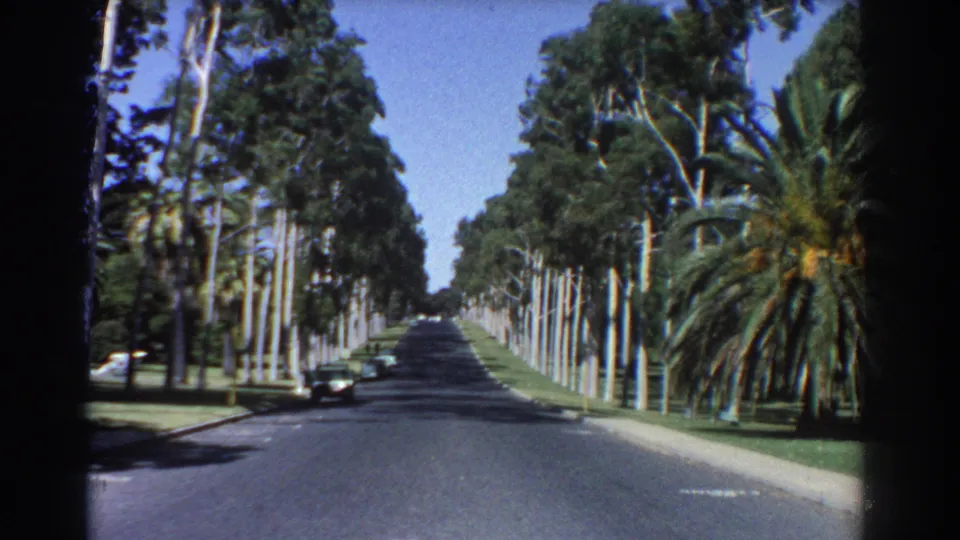 1967 Perth home-movie frame of a straight landscaped street lined with palms and eucalyptus trees, with a dark vintage car near the curb.