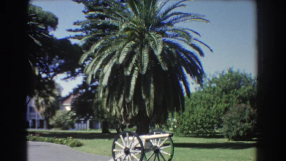1967 Perth park view with a large palm, grassy lawn, historic cannon display, and a pale building partly obscured by foliage.