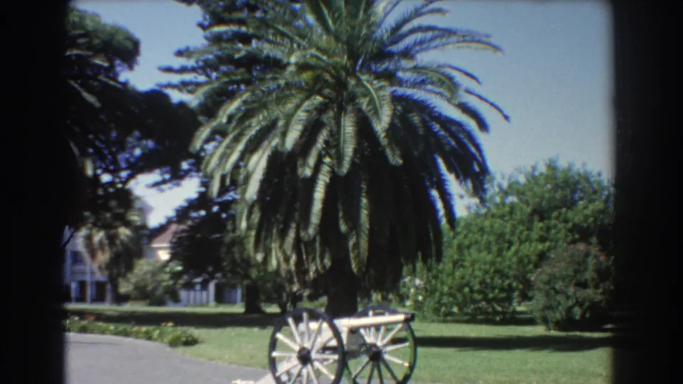 Late clip frame from 1967 Perth showing the palm and historic cannon display on a bright lawn with dense shrubs behind.