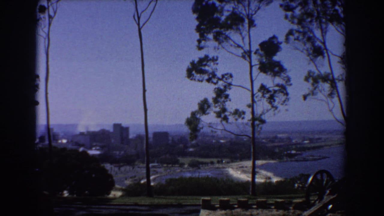 1967 Perth city view from an elevated lookout, with eucalyptus trees, distant buildings, water, and a shadowed foreground.