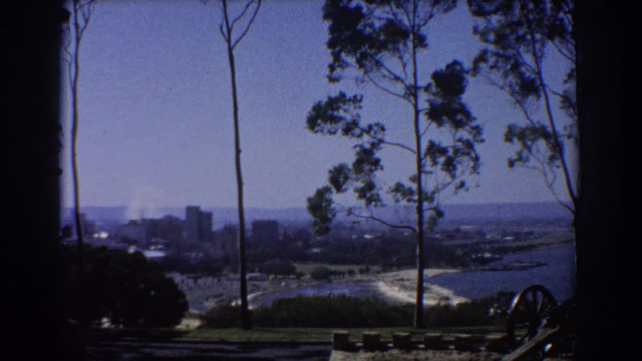 City skyline and river seen through trees, with a cannon wheel at lower right.