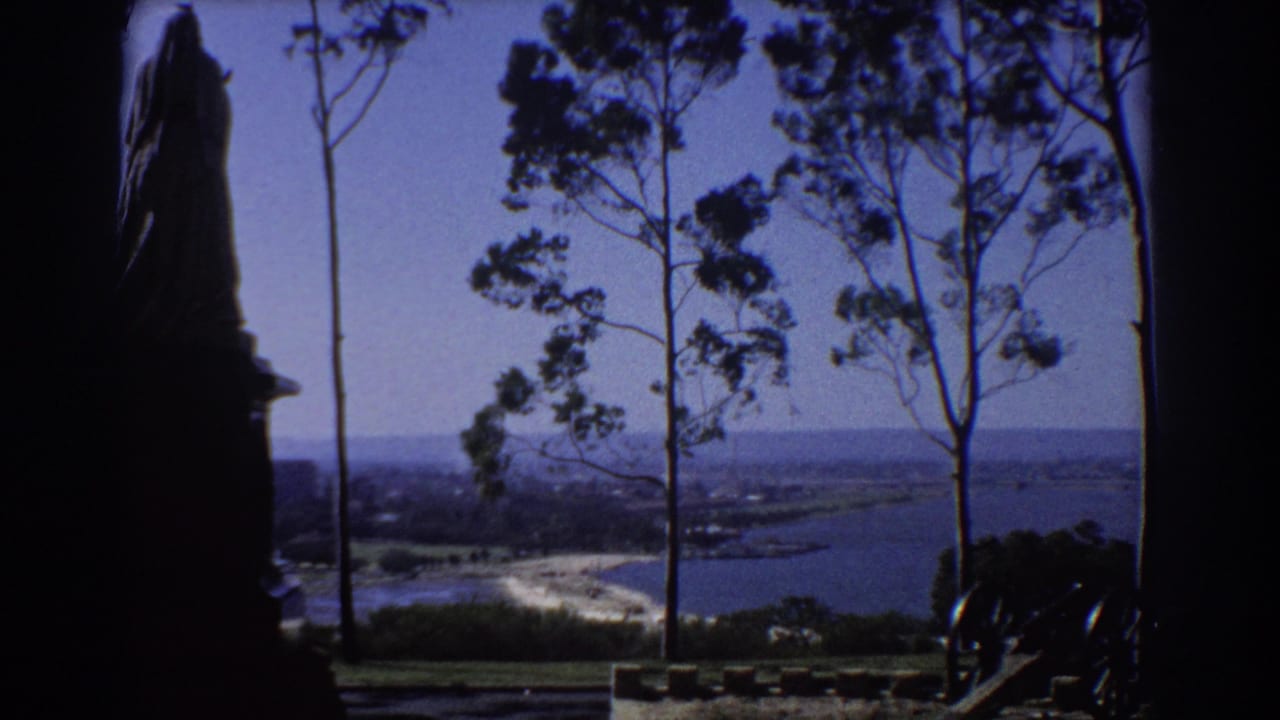 Elevated coastal view framed by dark trees, a monument shape, and old cannons.