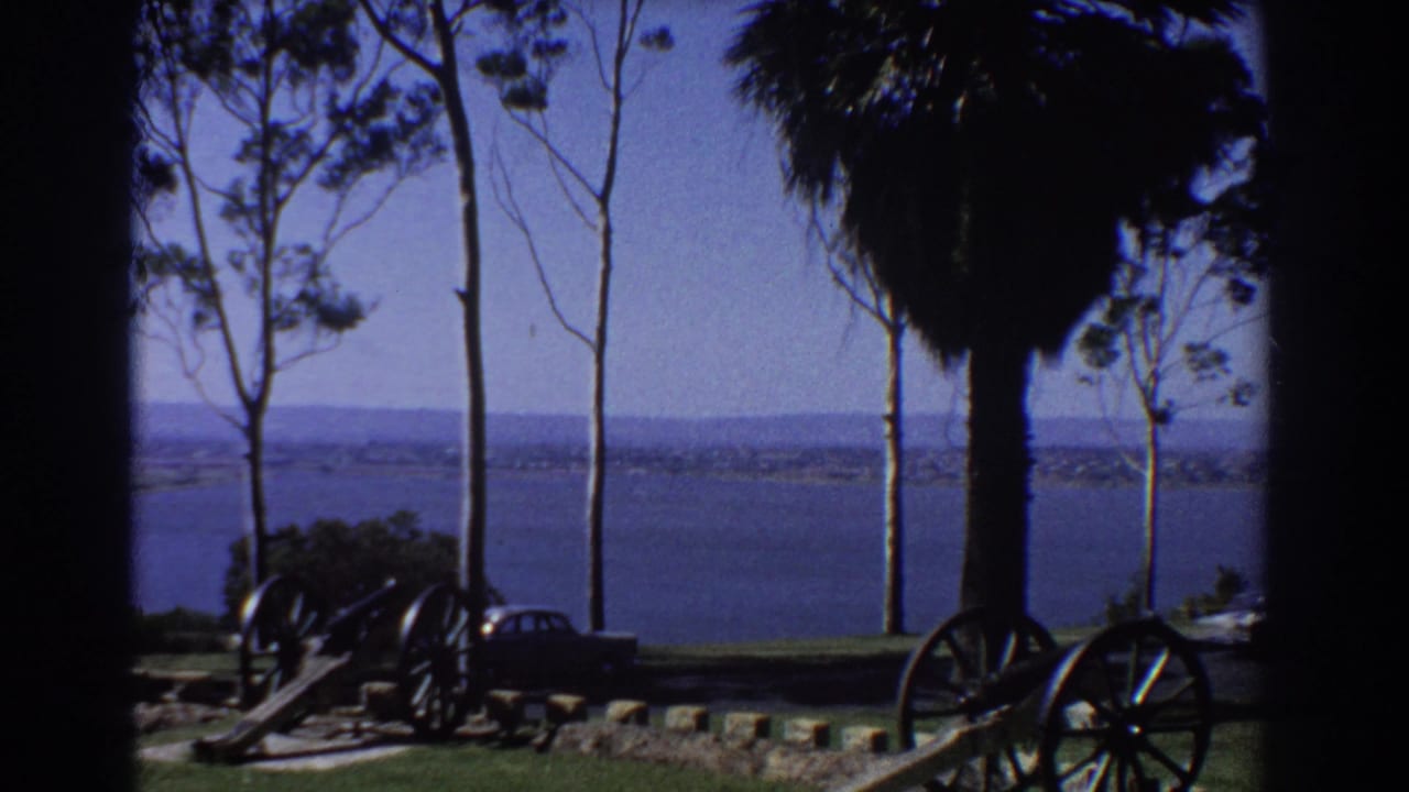 Waterfront overlook with trees, cannons, grass, and a parked car.