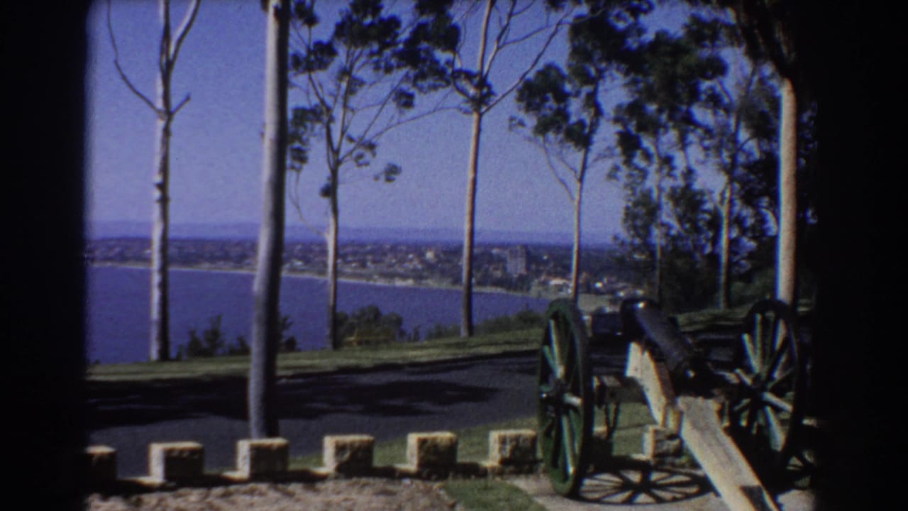 Cannon and trees at a lakeside overlook with distant buildings across the water.