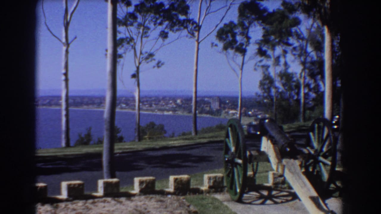 Historic cannon on a grassy overlook with sea, shoreline, road, and tall trees beyond.