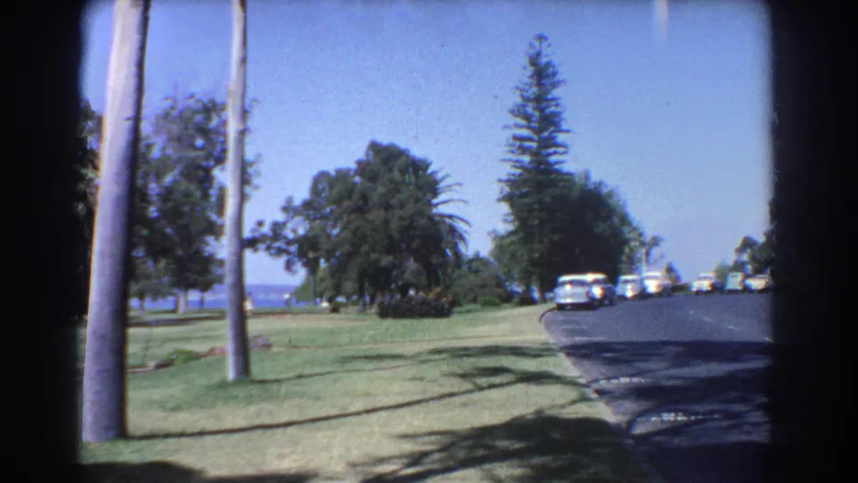 1967 Perth road view with a curve beside landscaped grass, palm and eucalyptus-like trees, distant water, and mid-century cars.