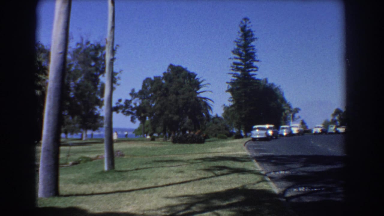 1967 Perth roadside view with palm trunks, grassy verge, vintage cars, trees, and blue sea beyond the road.