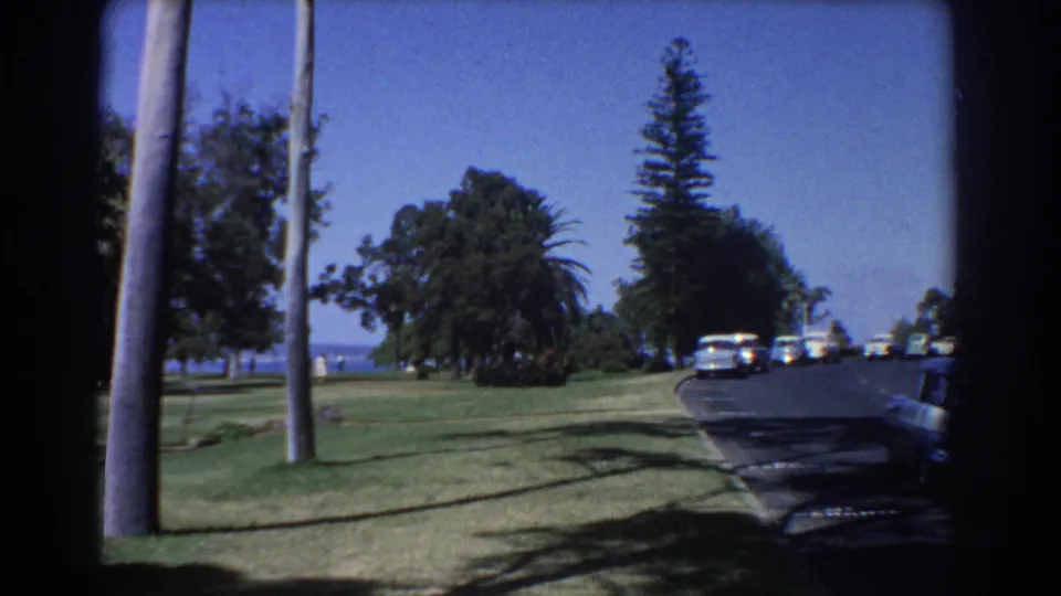 1967 Perth coastal road scene showing a grass verge, palms, vintage cars, trees, and distant blue water.