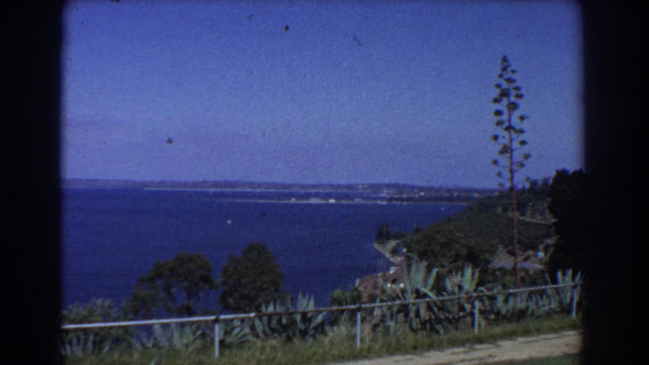 Coastal overlook with blue water, railing, trees, and tall agave-like plant.