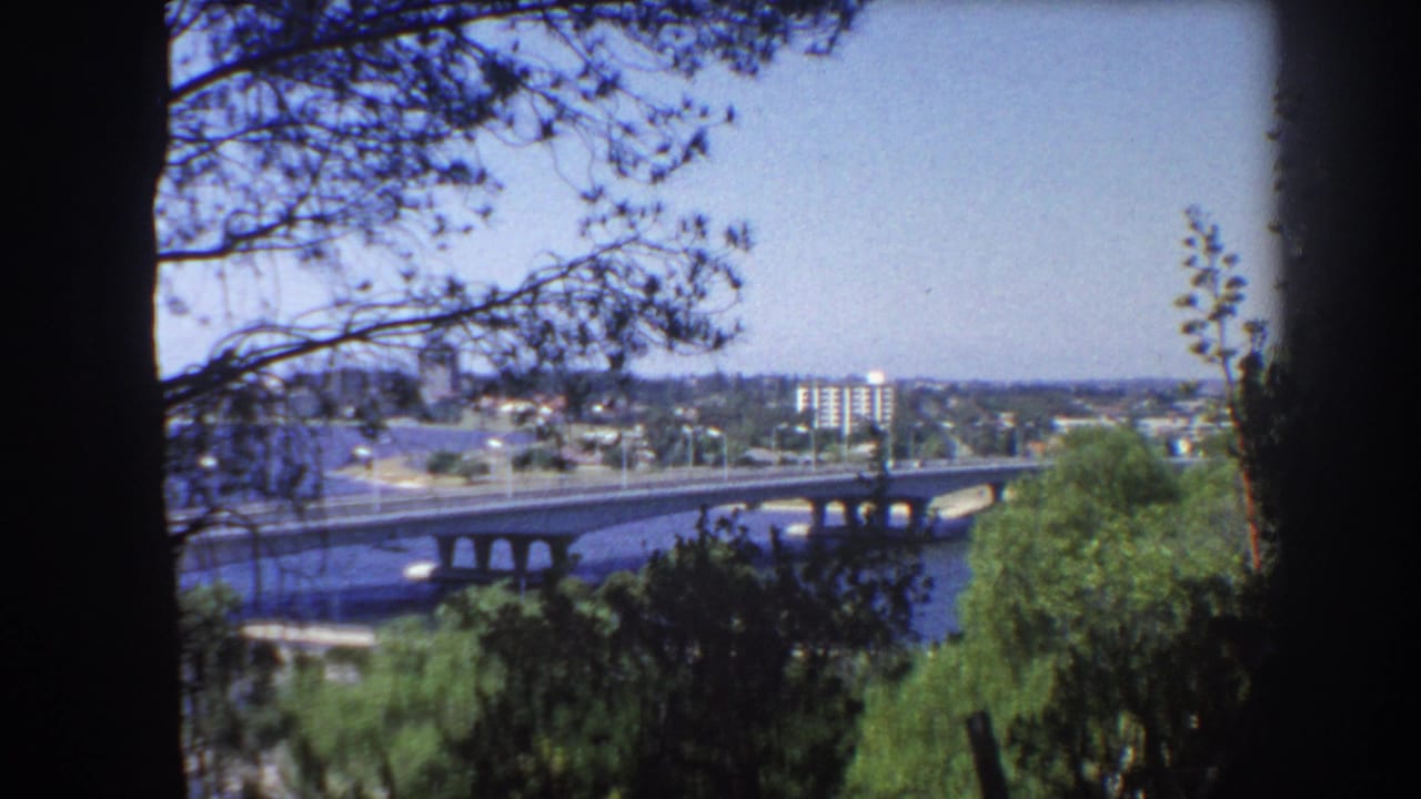 Tree-framed view of a river, bridge, roads, and distant city buildings under blue sky.