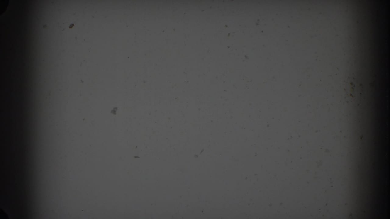 Dark grey film frame with heavy vignette, dust specks, and a central vertical band.
