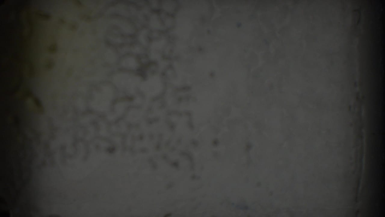 Dark, soft 8mm frame with a partial projected map area at the right edge.