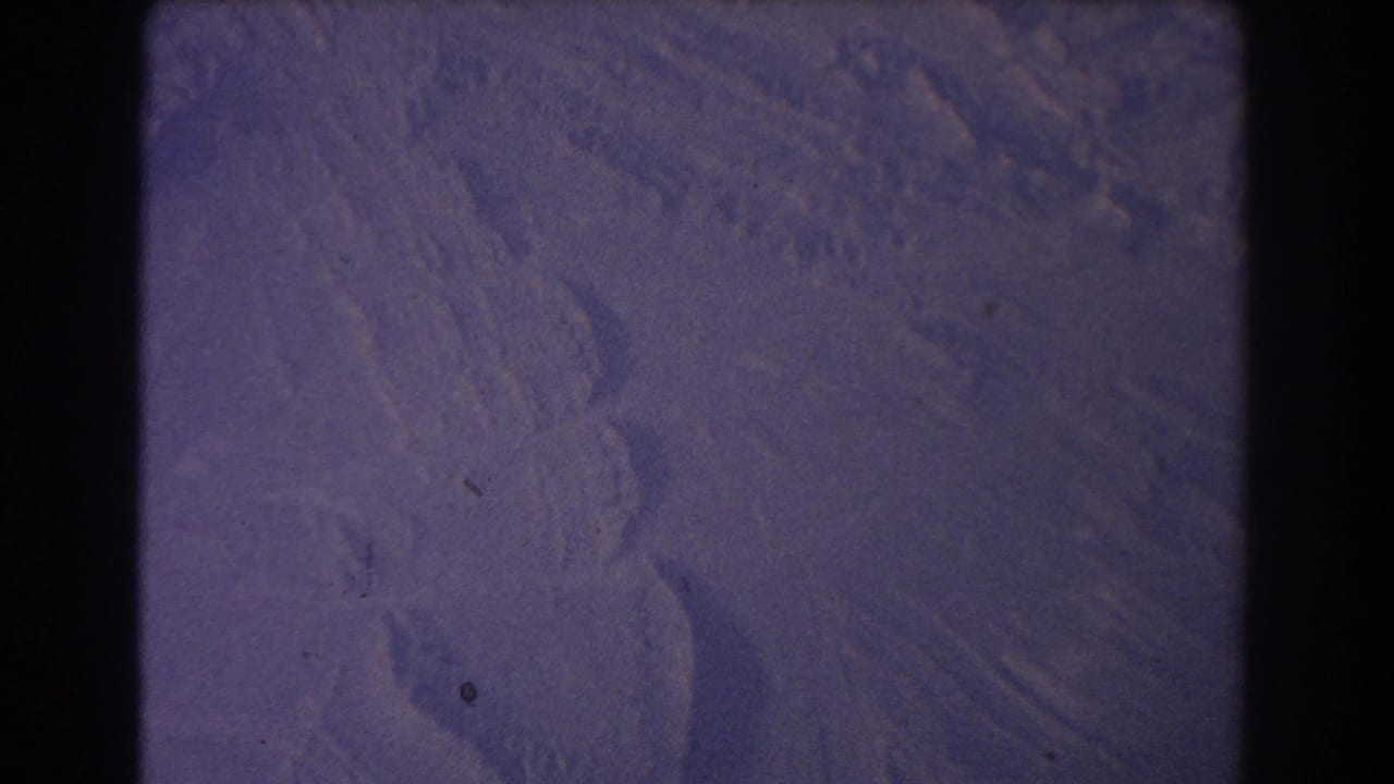 Aerial snowfield with ridges and dark frame edges.