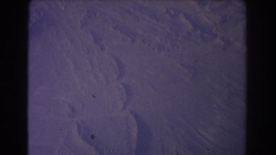 A snow-covered landscape appears beneath the aircraft, with grain, purple tint, and rounded 8mm frame edges visible.