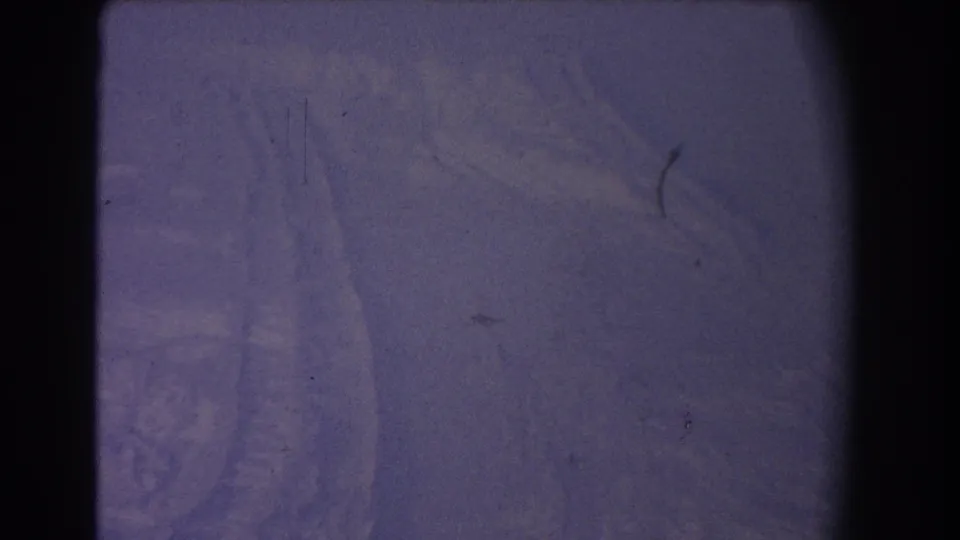Archival 8mm frame showing a purple-blue snow surface with subtle curved track impressions and visible film wear.