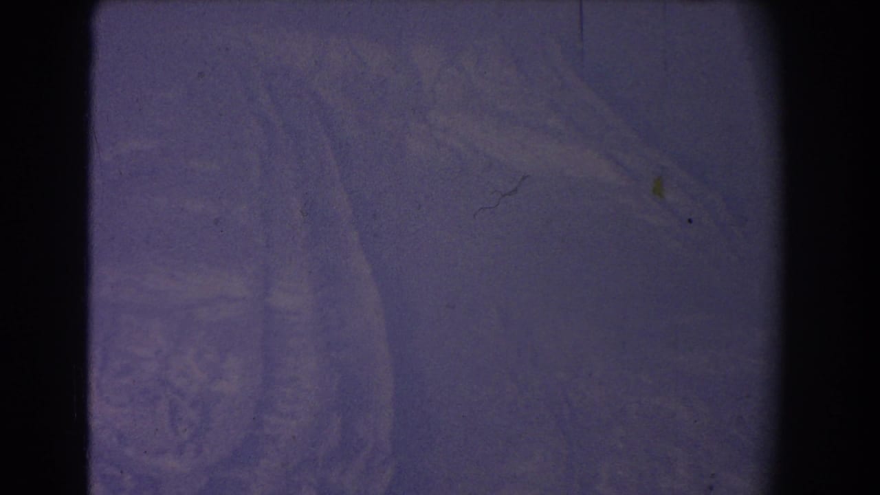 Abstract purple-blue film frame with dark borders and visible dust.