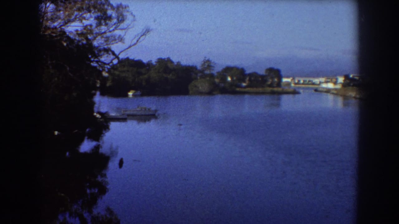 Calm blue water with a small boat near a shaded tree-lined shore.