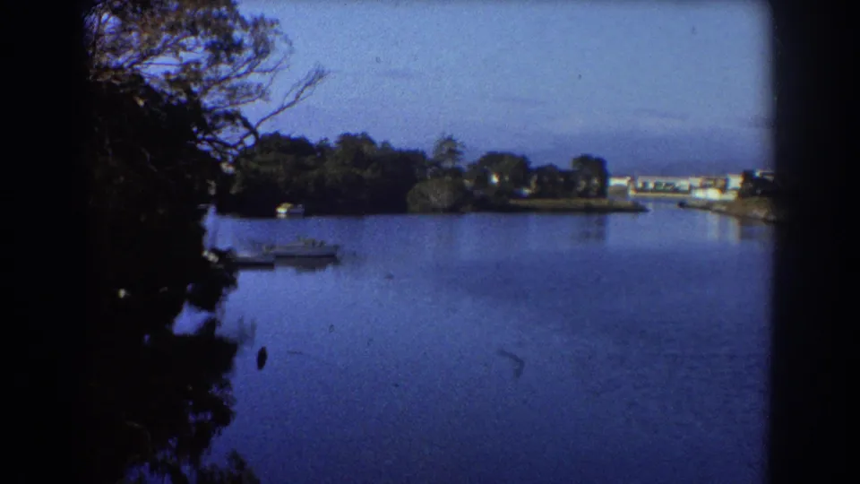 Blue-cast 1967 Sydney waterside view with dark foliage, open water, and low buildings or bridgework in the distance.