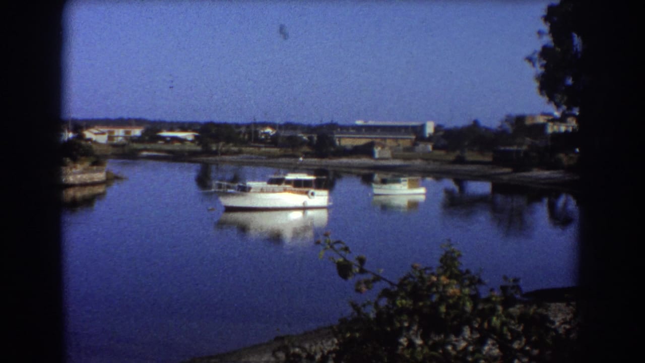 White motorboat floating on calm blue water near a low shoreline.