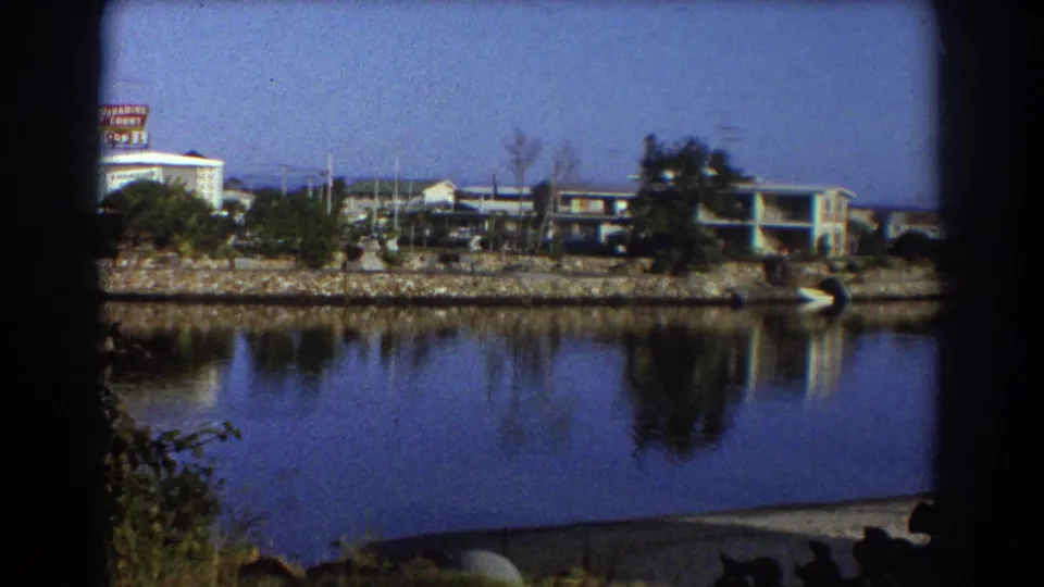 Sydney riverside scene with low buildings, trees, a visible Paradise Court sign, shoreline rocks, and blue water reflections.