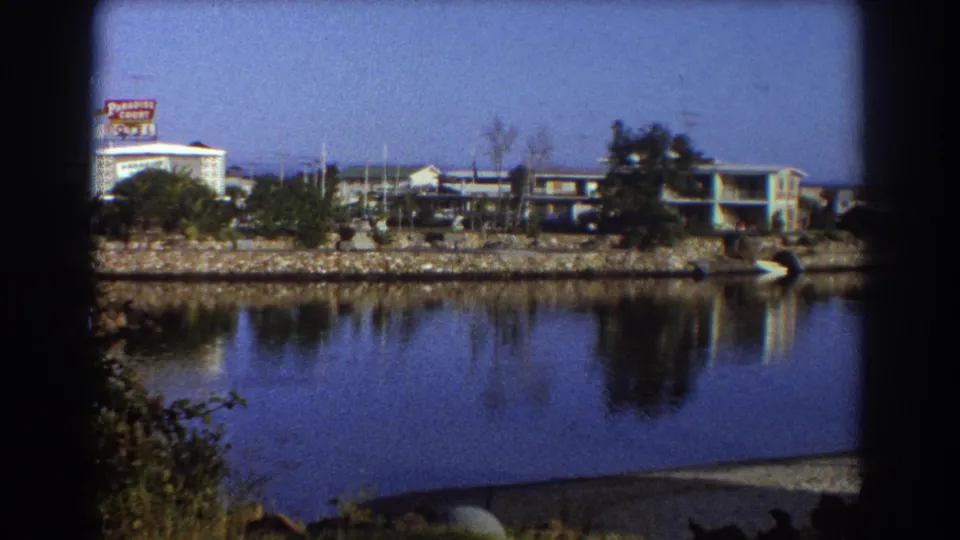 Sydney shoreline view with a Paradise Court sign, low buildings, trees, rock embankment, and strong reflections in blue water.