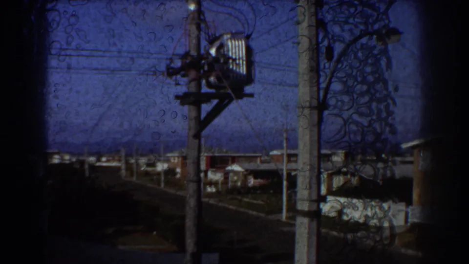 A Sydney suburban street, utility pole and overhead wiring appear below the perched bird in 1967 8mm footage.