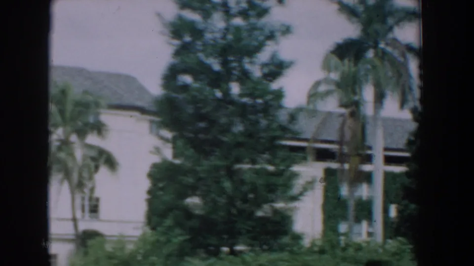 1957 Florida frame with the white building partly obscured by a tall evergreen, palm trees, roofline, and garden planting.
