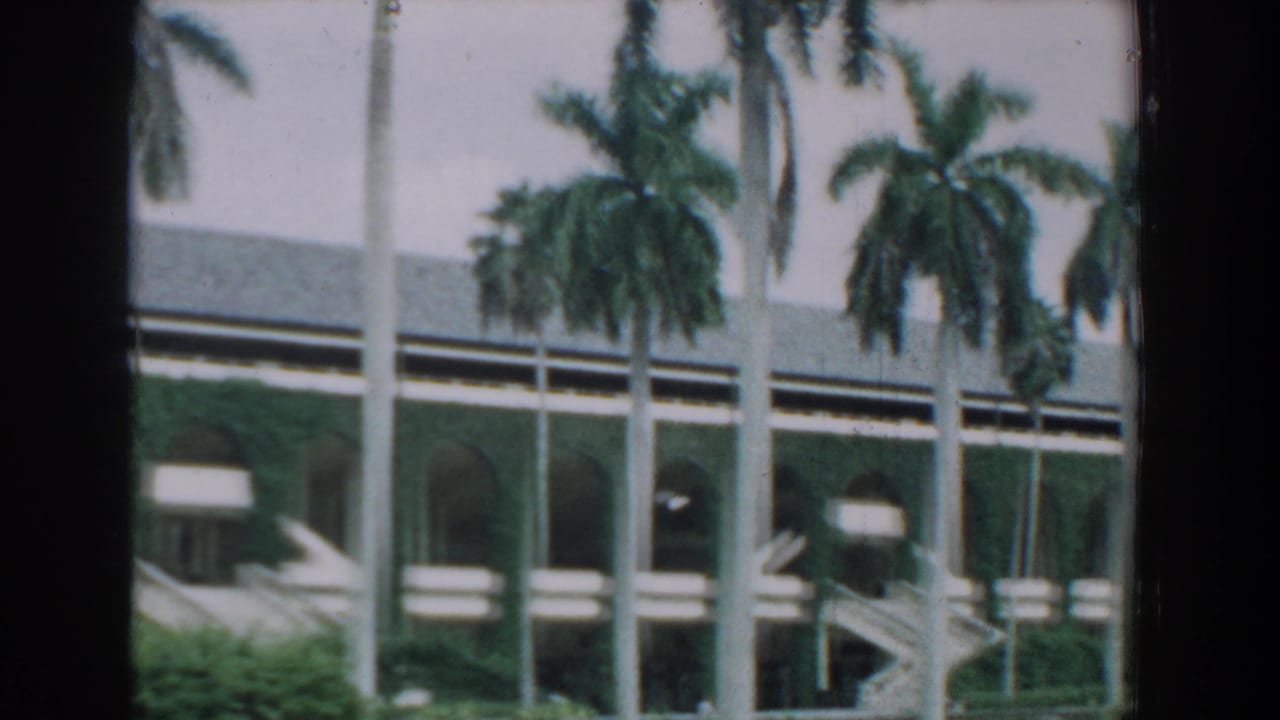 Palm trees stand before a large arched building with lawn and exterior stairs.
