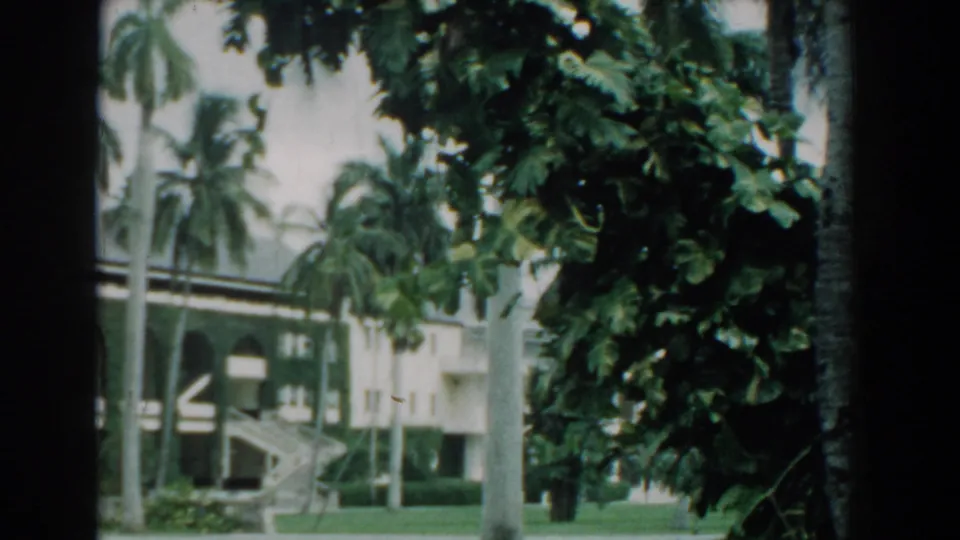1957 Florida frame showing leafy foreground branches, palms, and the arched building exterior beyond.