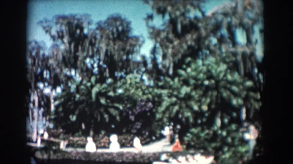 1957 Florida garden view showing palms, Spanish moss, a walkway, and a few visitors in bright sunlight.