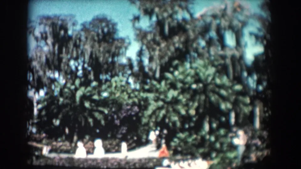 1957 Florida home-movie frame showing a landscaped garden with palms, hanging moss, pathways, and distant visitors.