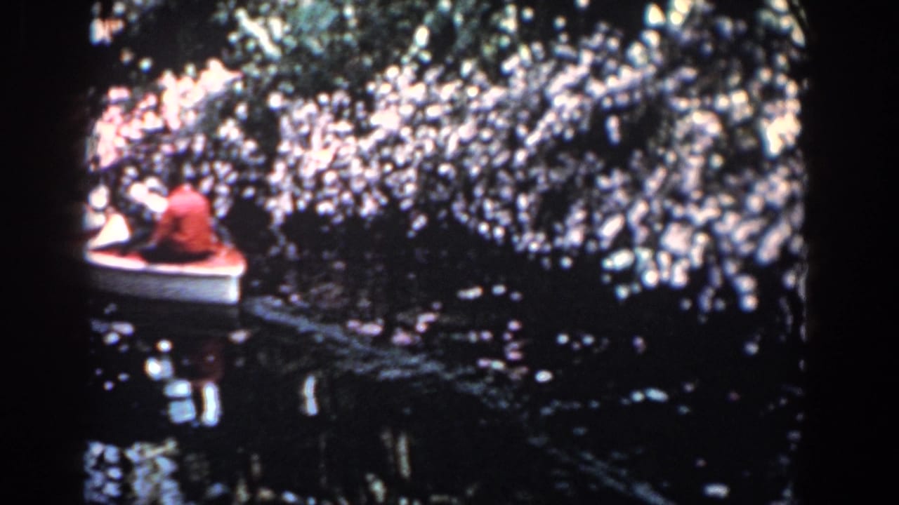 Small white boat with seated people passing under dense trees on dark water.