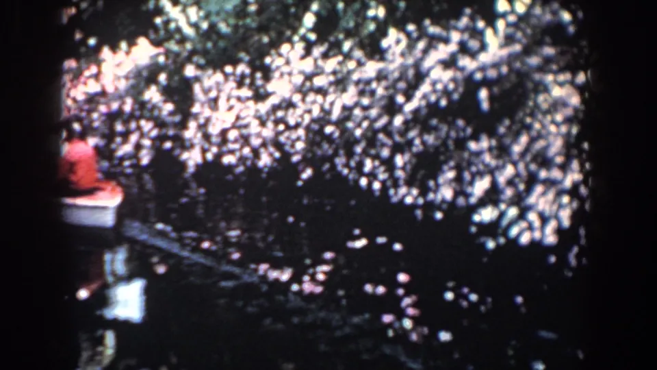 A small boat with visible passengers continues along a shaded Florida garden waterway in soft color 8mm footage.