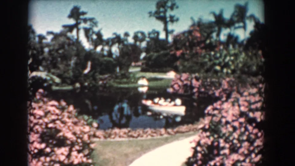 1957 Florida garden view with palm trees, flowering shrubs, a pond-like water feature, lawn, and a curved walking path.