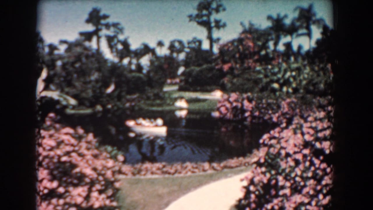 1957 8mm Florida garden view with pond water, lawn, pink flowering shrubs, palms, a curved path, and a small white boat in the distance.