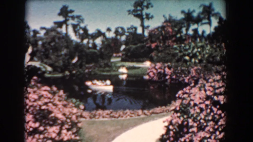 1957 8mm Florida garden view with pond water, lawn, pink flowering shrubs, palms, a curved path, and a small white boat in the distance.