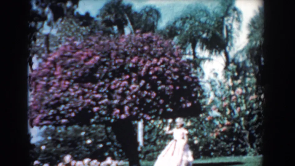1957 Florida garden view on 8mm, with a woman in a pale long dress partly framed by a broad purple flowering shrub and surrounding greenery.