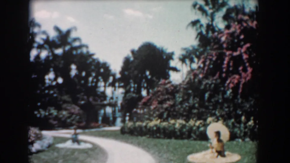 1957 Florida garden view with a curving sidewalk, manicured lawn, flowering shrubs, palms, and a small decorative feature near the path.