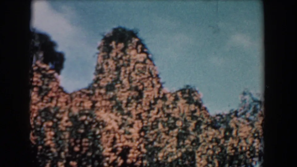 1957 Florida 8mm frame showing orange-brown vines blanketing a group of trees beneath a pale blue sky.