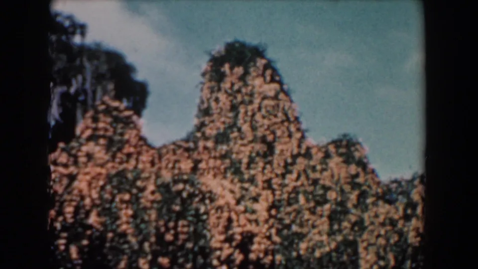 1957 Florida home-movie frame with a tall vine-blanketed tree mass framed by sky and darker surrounding growth.