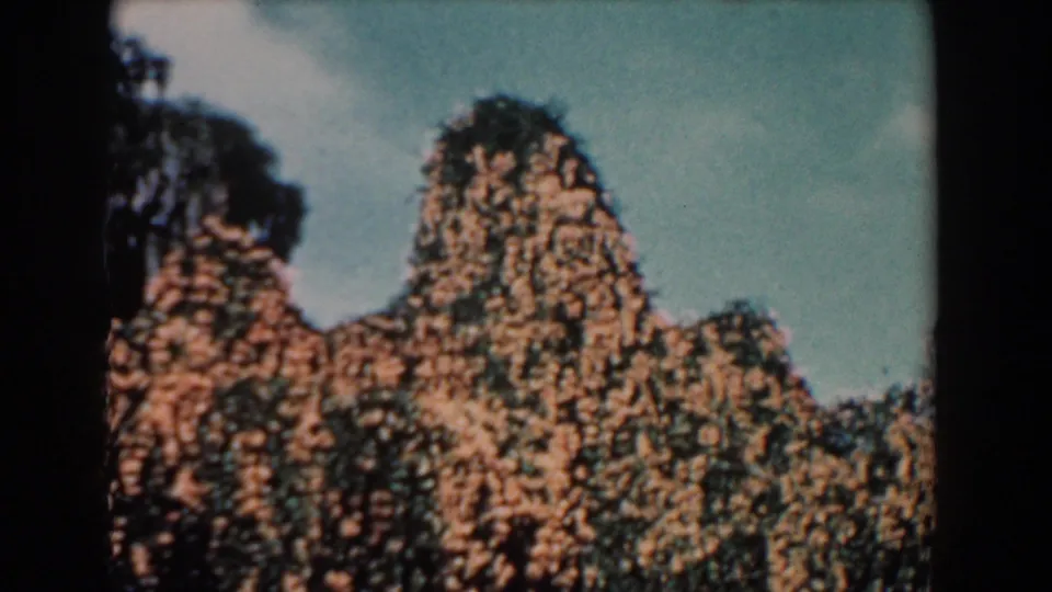1957 Florida frame of vine-covered tree shapes, dark bordering foliage, pale sky, and visible 8mm film texture.