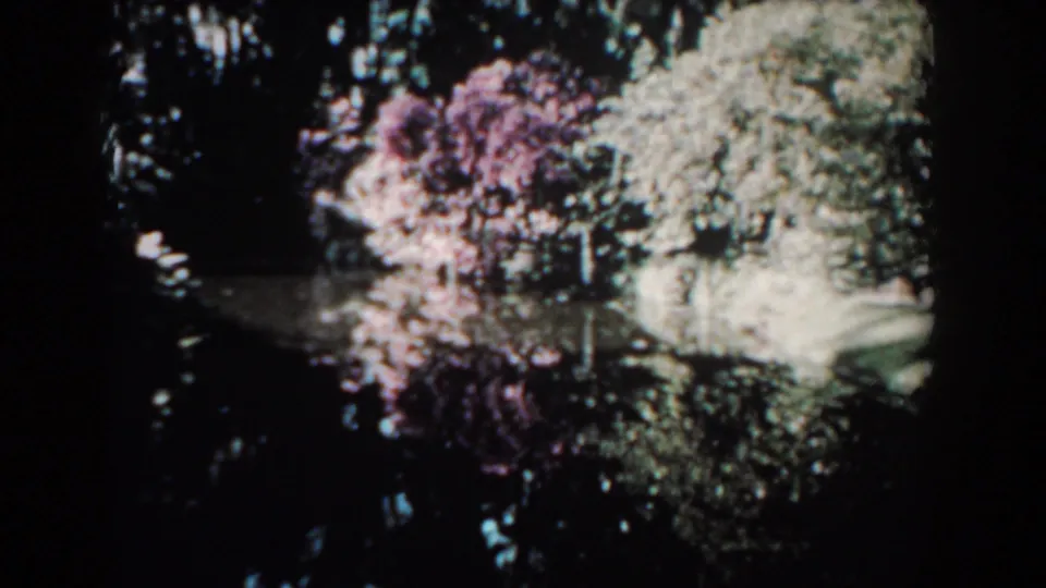 1957 Florida 8mm frame showing a slow pan across pond water, reflected tree canopy, and bright shoreline foliage.